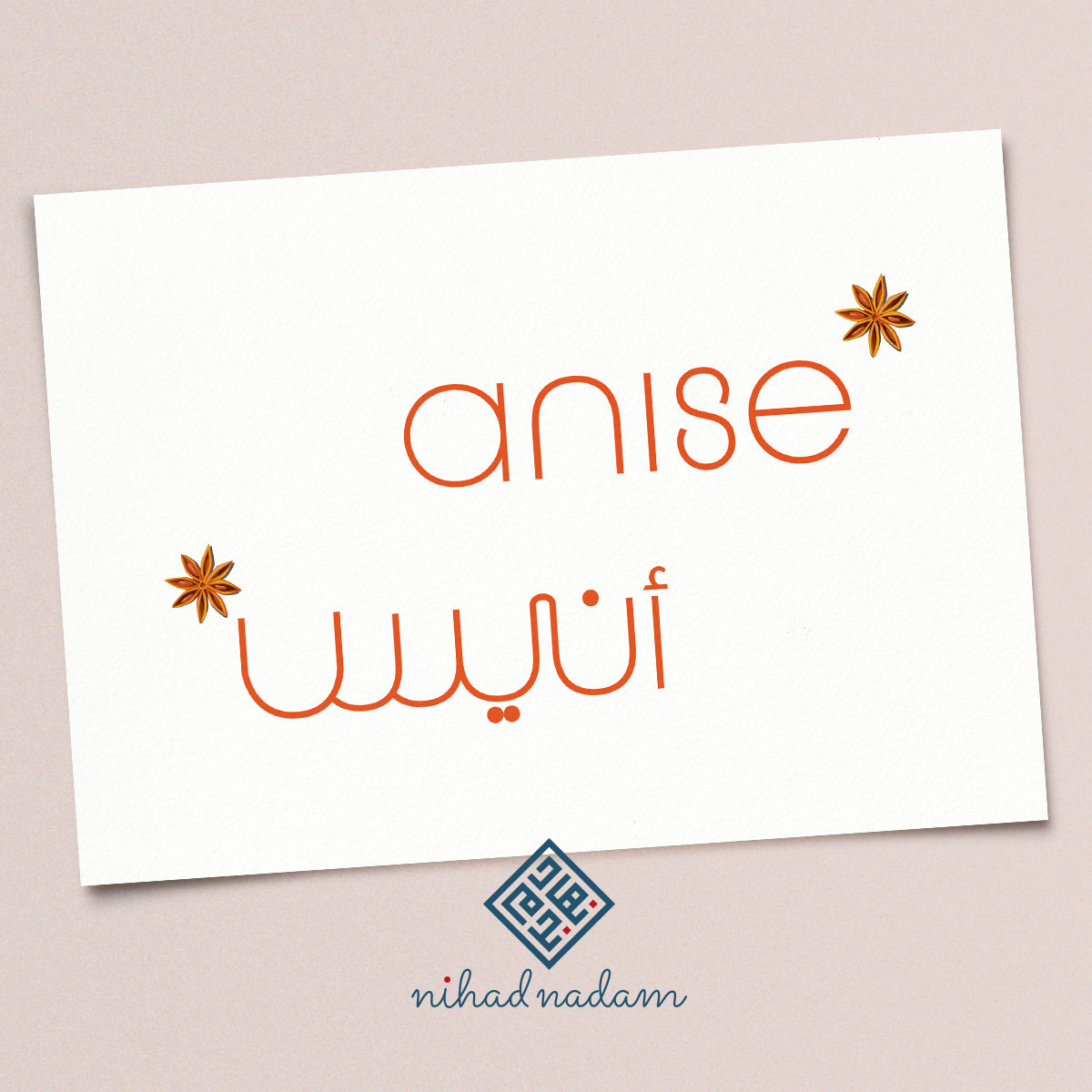 Anise English to Arabic Logo Design