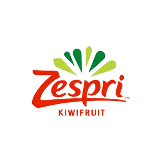 zispri Logo Design Nihad Taisir nadam