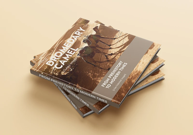 Coffee table book design